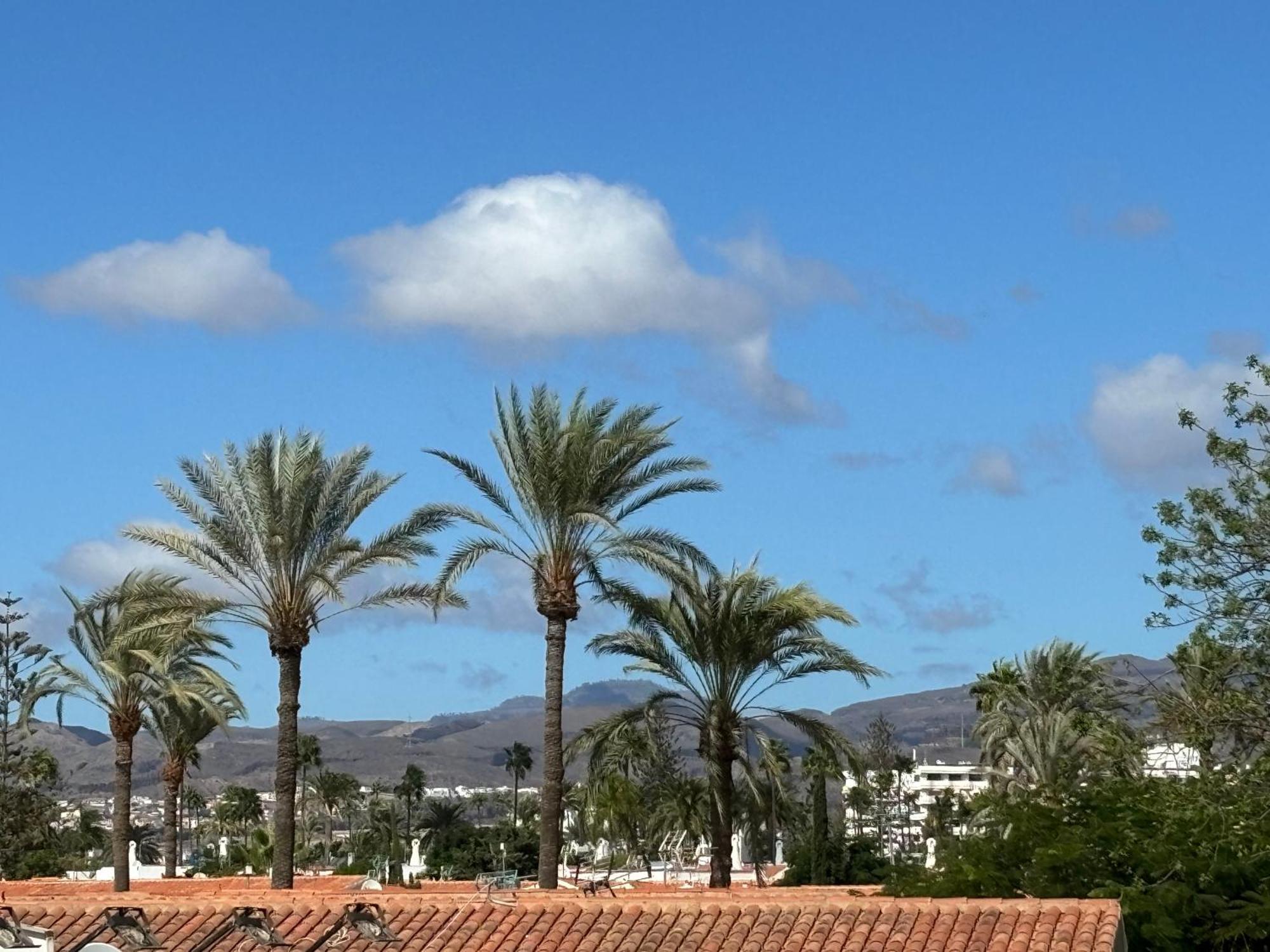 Loris Home Playa Ingles 50Mt From Yumbo By Luca Properties Gran Canaria Сан-Бартоломе Экстерьер фото